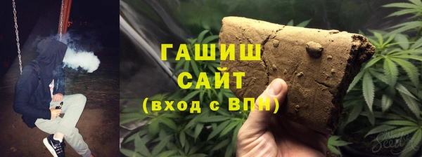 индика Алзамай