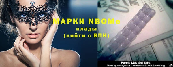 индика Алзамай