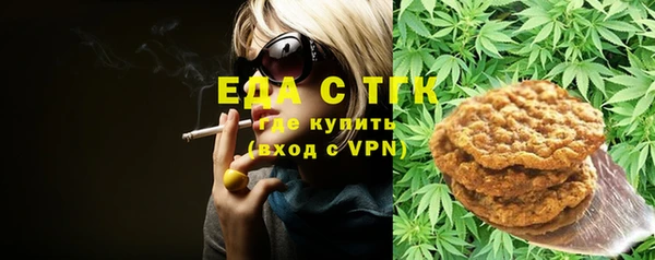 индика Алзамай