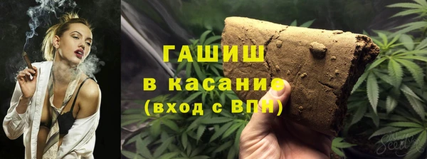 индика Алзамай