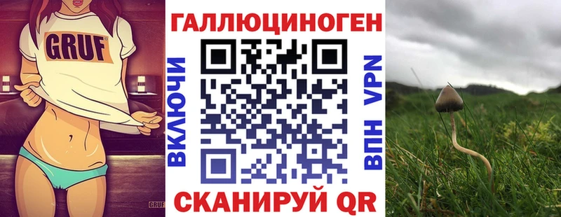что такое наркотик  Тайшет  Псилоцибиновые грибы мухоморы 