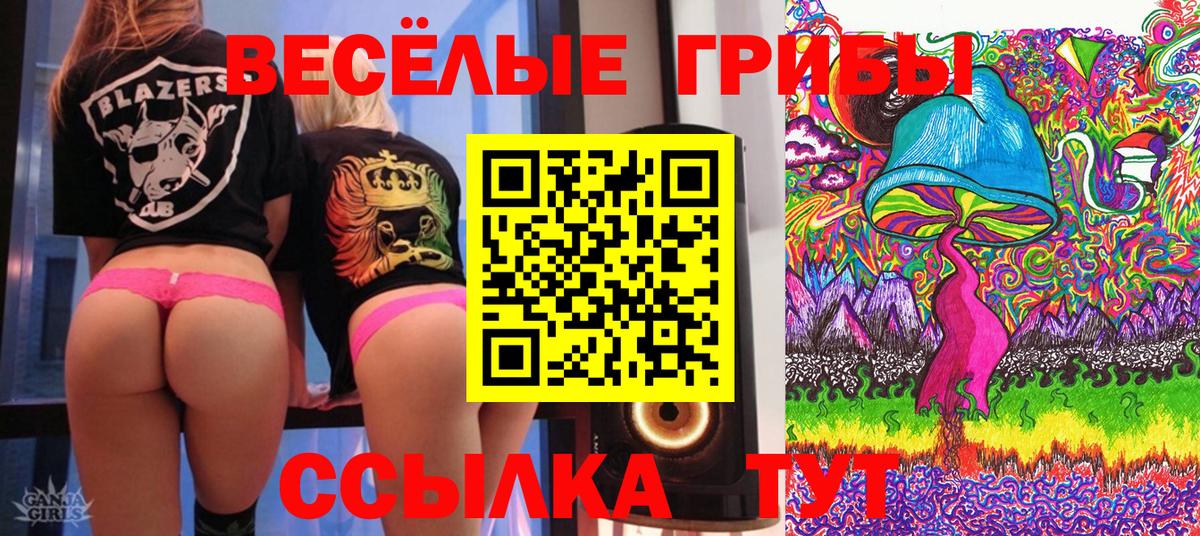 Псилоцибиновые грибы MAGIC MUSHROOMS  Галлюциногенные грибы MAGIC MUSHROOMS  Вход с VPN  Тайшет 