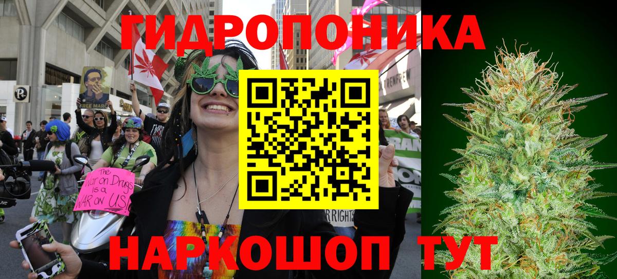 МАРИХУАНА конопля Тайшет